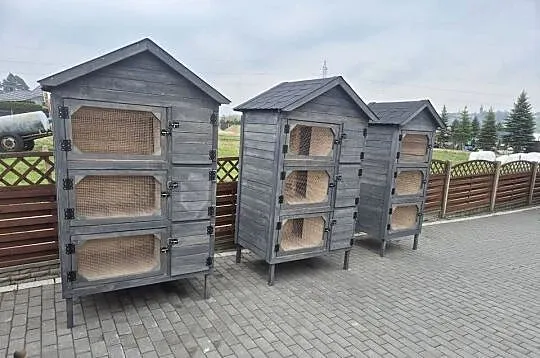 Klatka dla królików, Małopolskie, Jordanów