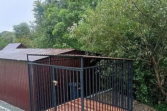 Kojec dla psa 2x2 ( transport i montaż gratis), Małopolskie, Stary Sącz