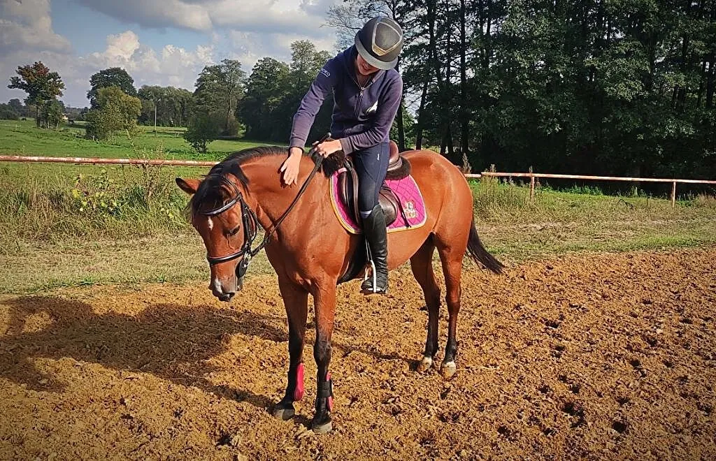 Klacz, kuc, pony 9 lat, 141 cm, ,