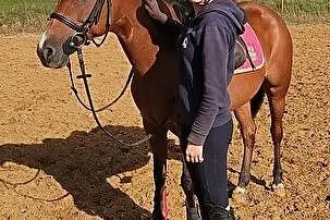 Klacz, kuc, pony 9 lat, 141 cm, , 