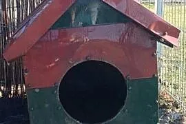 Buda dla psa