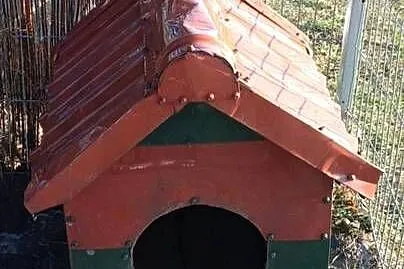 Buda dla psa, Łódzkie, Łask