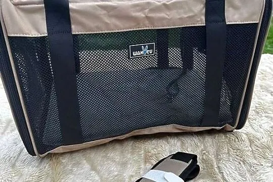 Torba Transportowa rozszerzalna dla kota/psa, Kujawsko-pomorskie, Osięciny