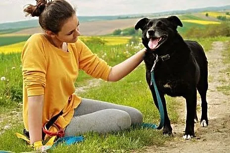 5 lat w schronisku, zmieńmy życia kochanej suczki!