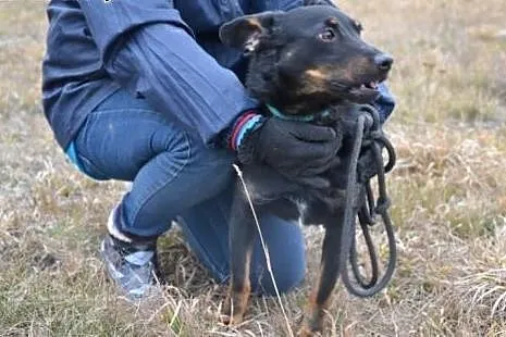 Perełka da Ci wierność i miłość jakiej nie zaznasz