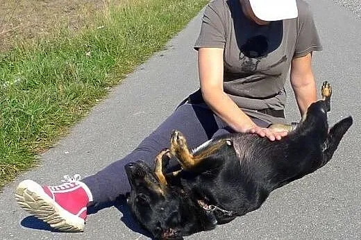 Perełka da Ci wierność i miłość jakiej nie zaznasz
