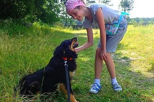 Frida-sliczna puchata sunia,  Kundelki cała Polska