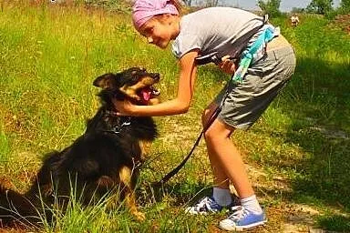 Frida-sliczna puchata sunia,  Kundelki cała Polska
