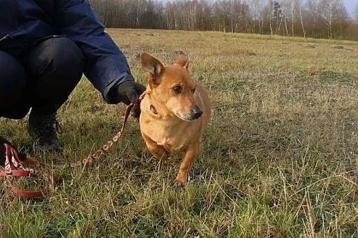 Malutki, wesoły Batmanek czy długo będzie czekał n