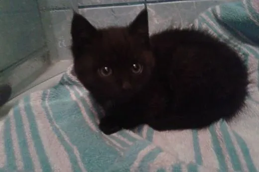Pipi Fifi Junior,  pomorskie Władysławowo