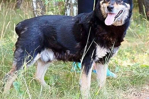 Rozsądny, stateczny MAGNAT czeka na szansę.,  mazo