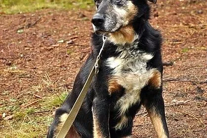 Szoki czeka na wspaniałych ludzi :)