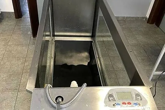 Bieżnia wodna dla psa, Pomorskie, Reda