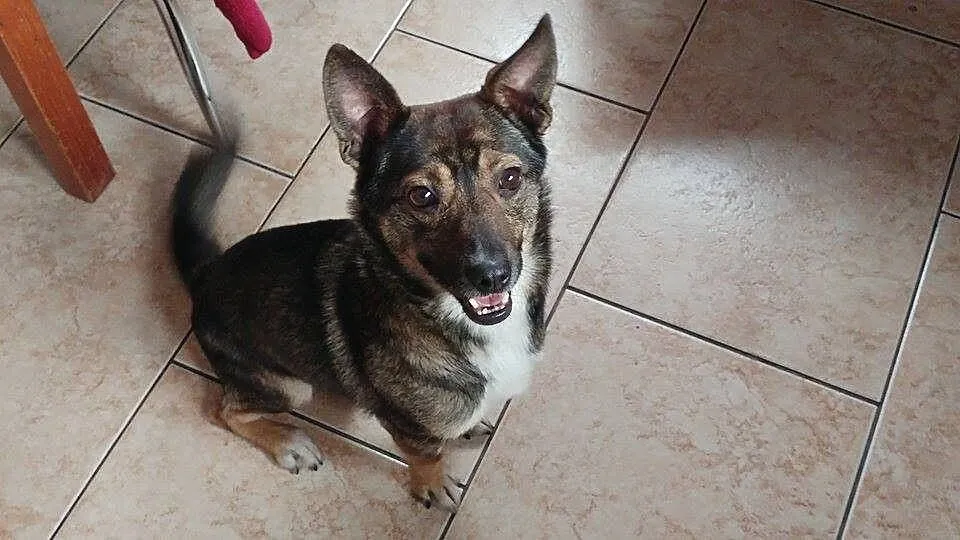 Edzio - maleństwo wagi piórkowej, 6kg
