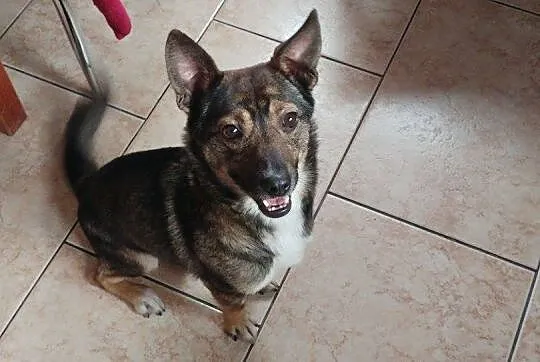 Edzio - maleństwo wagi piórkowej, 6kg