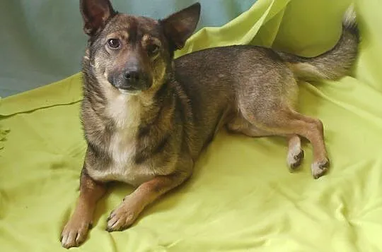 Edzio - maleństwo wagi piórkowej, 6kg
