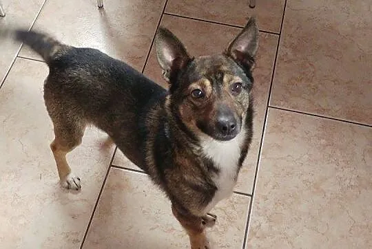 Edzio - maleństwo wagi piórkowej, 6kg