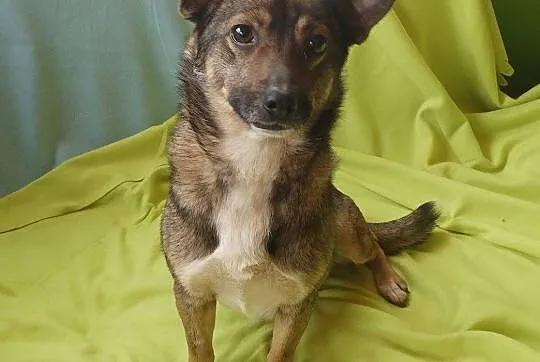 Edzio - maleństwo wagi piórkowej, 6kg