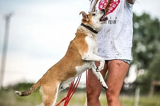 EDEK - kocha bezinteresownie i bezwarunkowo ,  maz