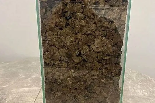 Terrarium 20/25/30, Śląskie, Sosnowiec