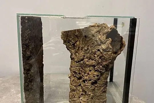 Terrarium 20/25/30, Śląskie, Sosnowiec