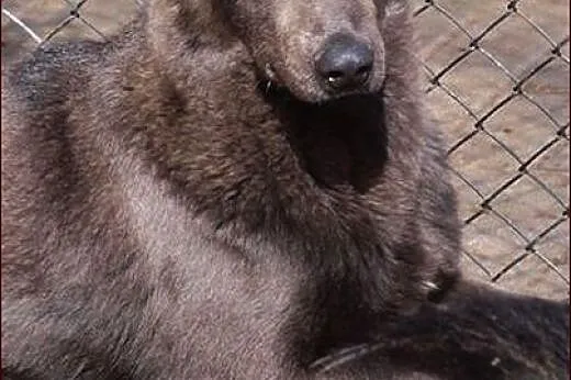 Kacper :) Prawdziwe zjawisko! :),  warmińsko-mazur