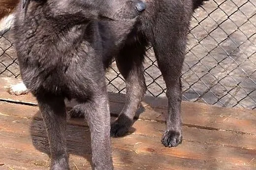 Kacper :) Prawdziwe zjawisko! :),  warmińsko-mazur
