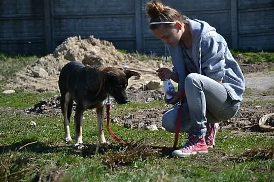 Sonia-cudna, spokojna, delikatna i łagodna niunia 