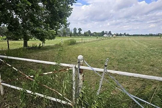 Ogrodzenie dla koni. Padok