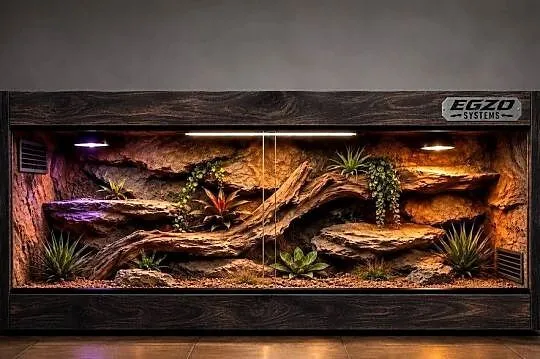 Terrarium dla żółwia greckiego gekona lamparciego
