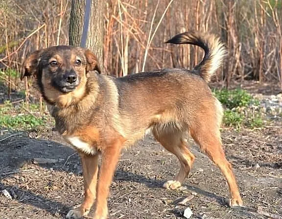 Borówka chce mieć swój dom!