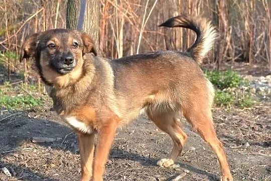 Borówka chce mieć swój dom!