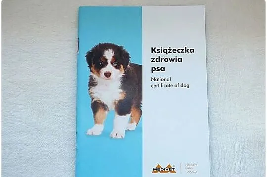 Książeczka Zdrowia Psa MEDiVET Bereński pies pasterski Nowa, Lubuskie, Lubsko