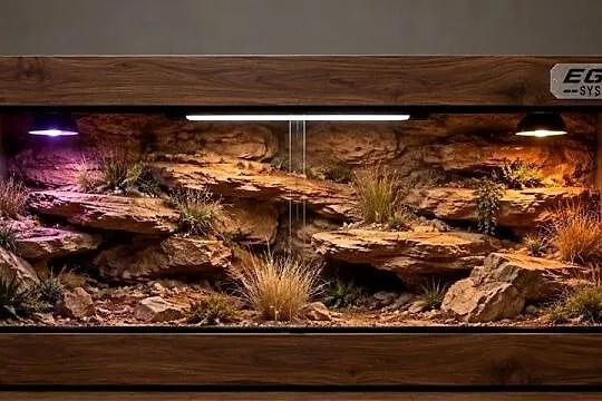 Terrarium specjalistyczne dla żółwia greckiego gekona lamparciego