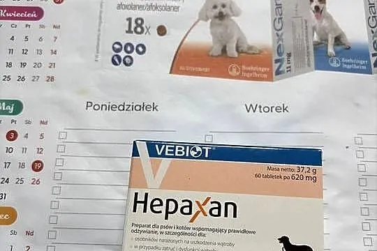 Hepaxan 60 kapsułek w opakowaniu