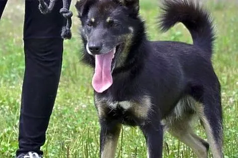 Nie zapomnij o mnie - Irysek czeka na pomoc... FIL