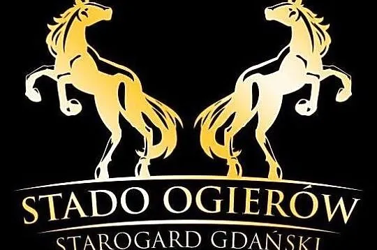 E T O S, , Starogard