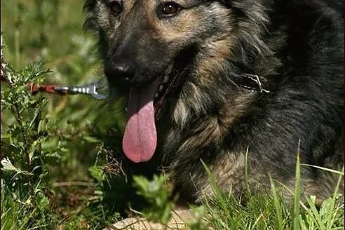 Tak, tak! Tylko Takan! :)