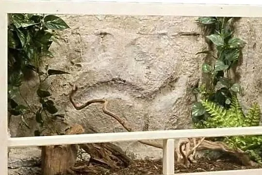 TERRARIUM 120x60, Mazowieckie, Warszawa