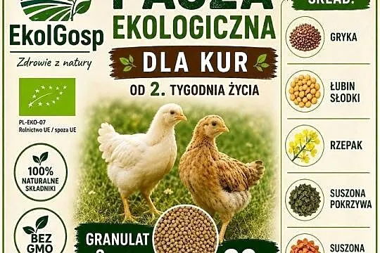 Pasza dla kur 20kg ekologiczna