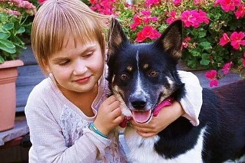 Harry, młody, zrównoważony, wpatrzony w człowieka 