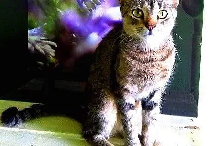Molly - eksplozja energii