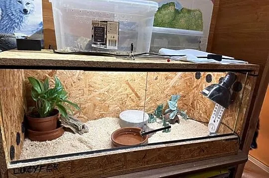 Terrarium osb 90cm