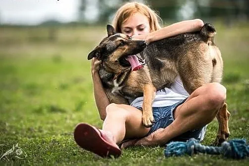 Kimba - przyjaciel dla aktywnych :),  mazowieckie 
