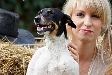 Malinka typ psa myśliwskiego szuka domu!,  Kundelki cała Polska