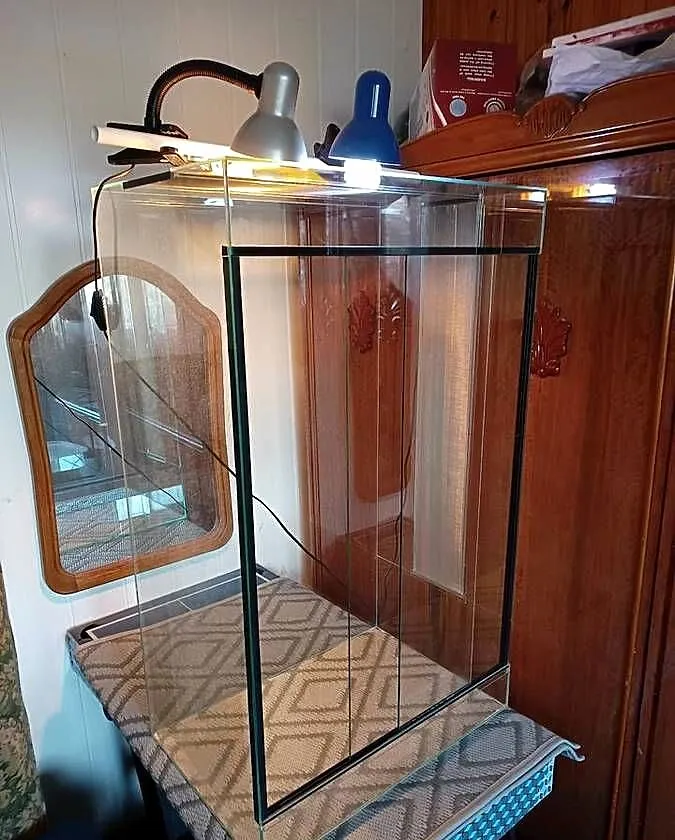 Duże terrarium dla gada, Lubelskie, Rejowiec Fabryczny