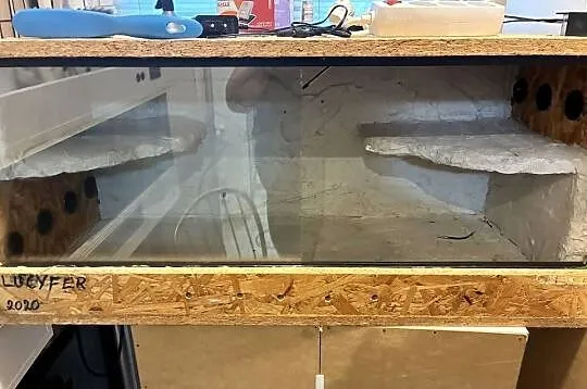 Terrarium