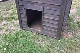 Buda XXL,gigant dla dużego psa