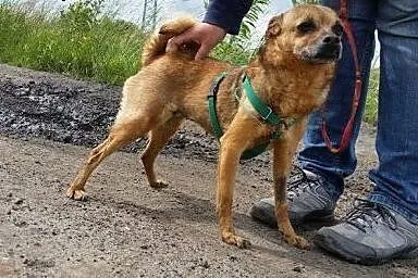 SARA- maleństwo o ogromnym sercu do pokochania na 
