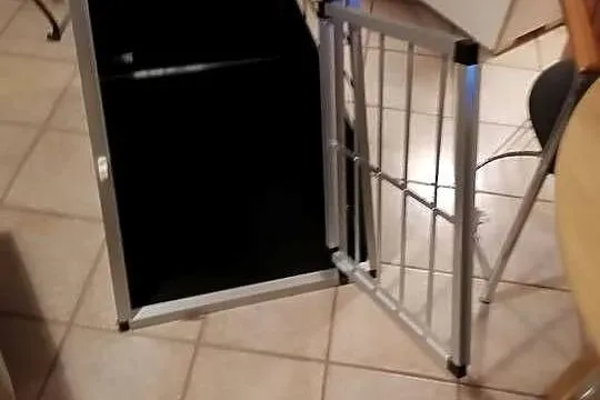 Transporter dla dużego psa JUSKYS, Dolnośląskie, Mazurowice